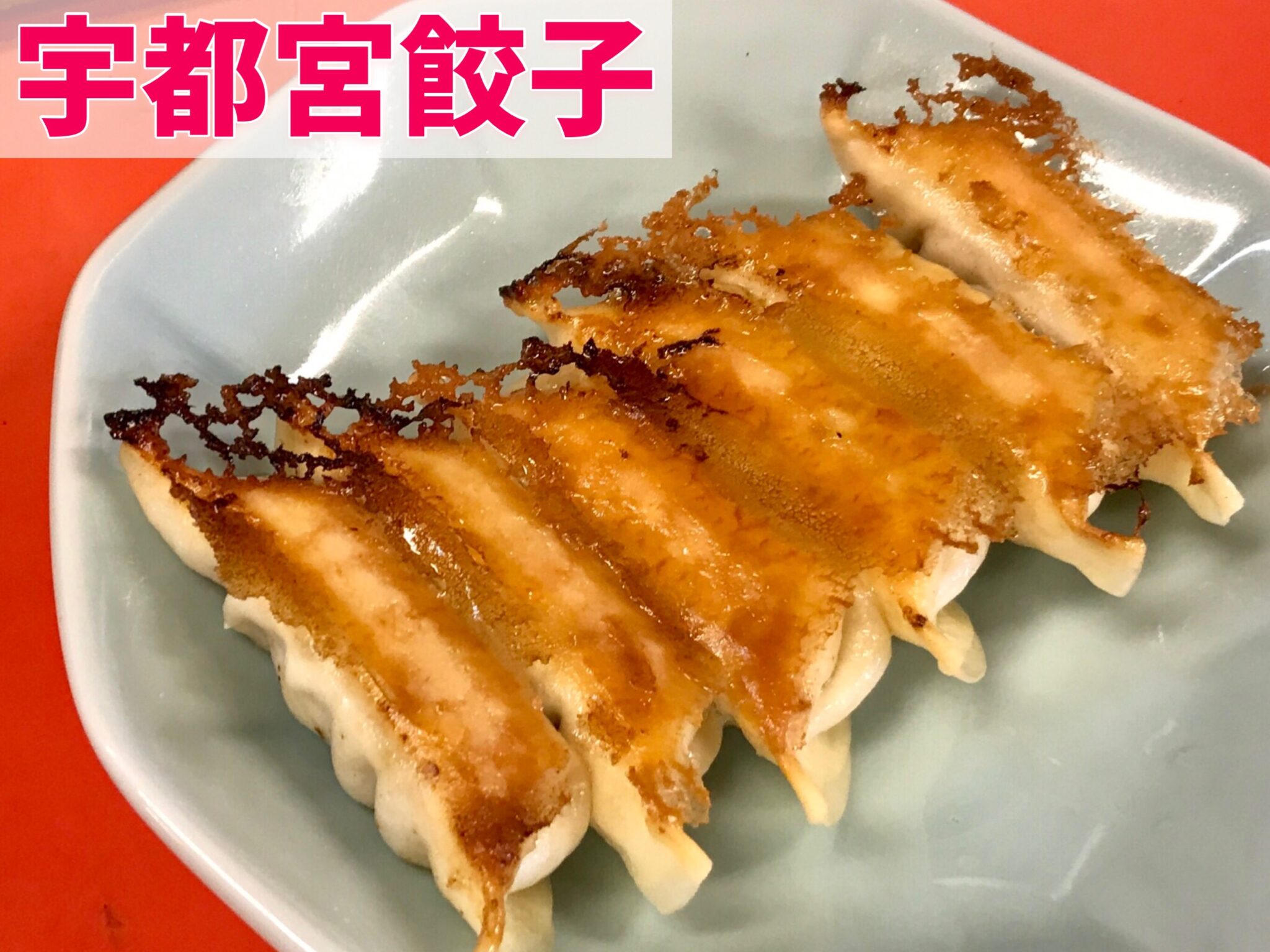 浜松餃子と宇都宮餃子の違いって？宇都宮民が浜松餃子と食べ比べしてみた！ 宇都宮くらし