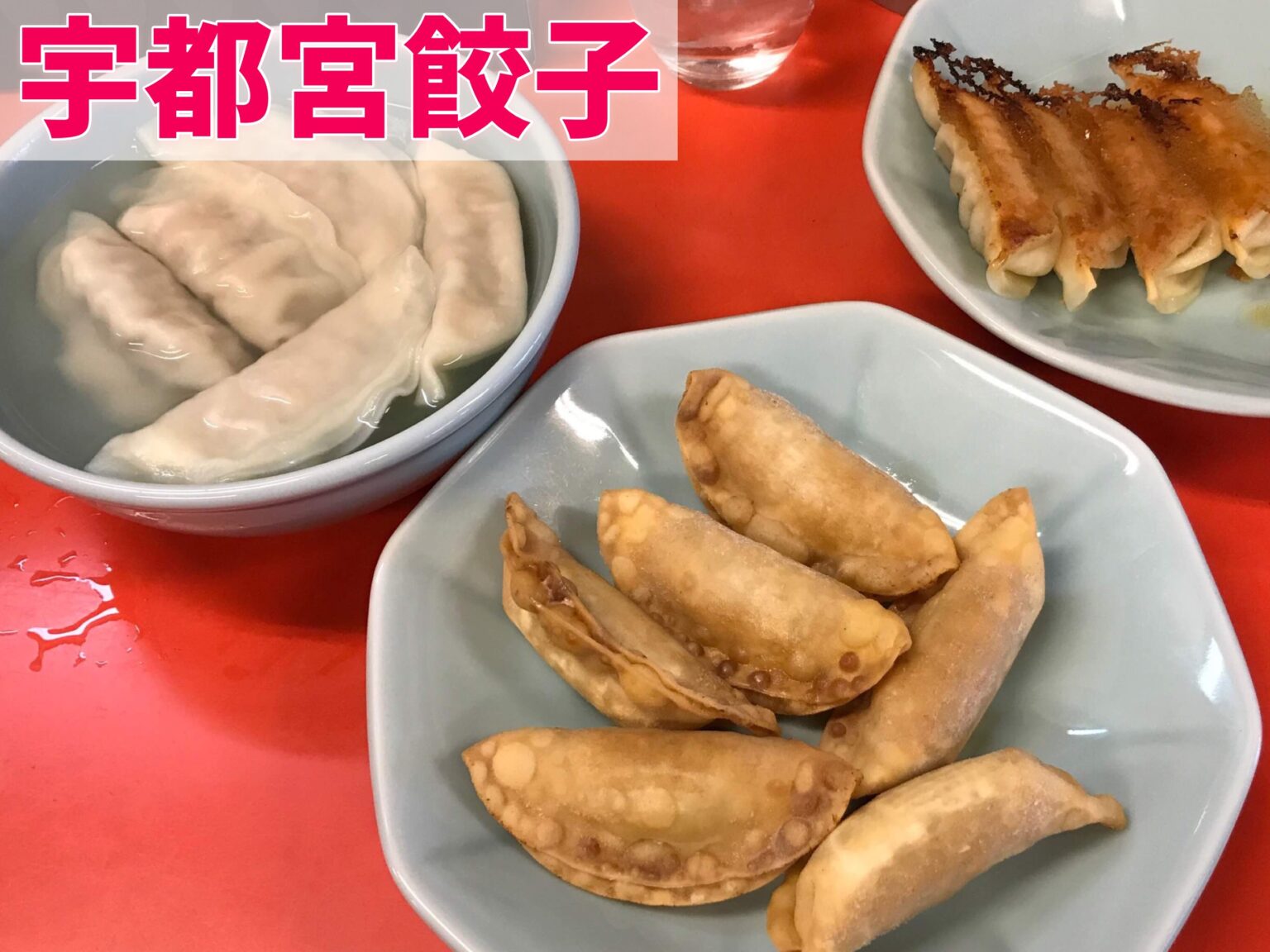 浜松餃子と宇都宮餃子の違いって？宇都宮民が浜松餃子と食べ比べしてみた！ 宇都宮くらし