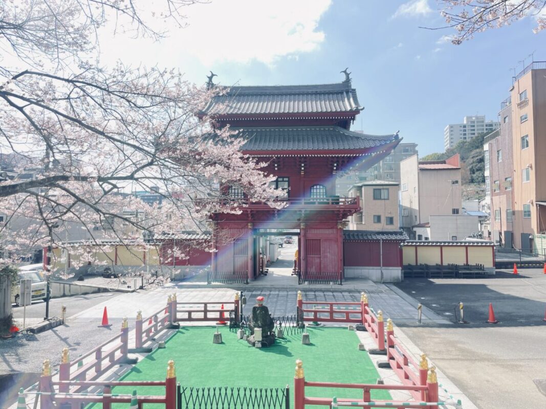 慈光寺赤門の桜