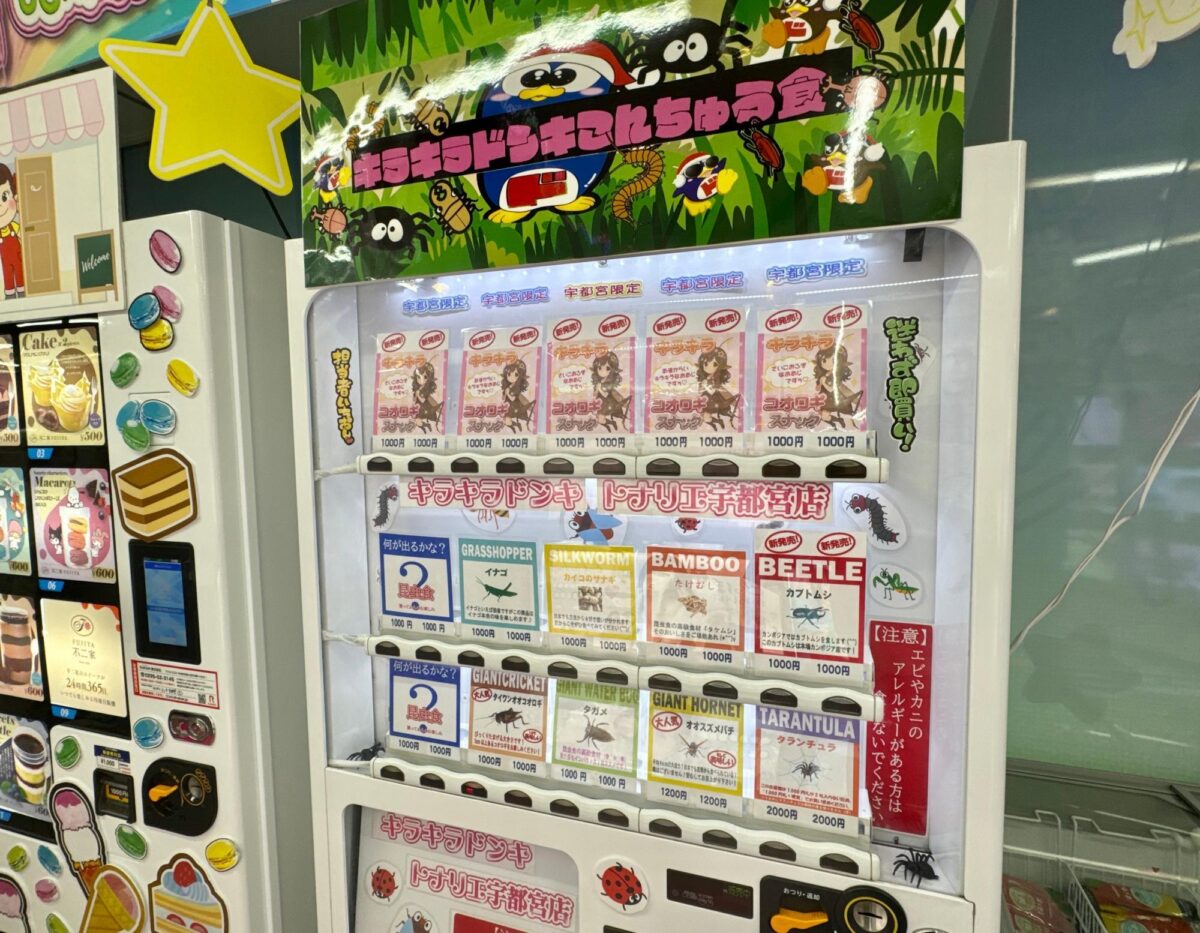 キラキラドンキ トナリエ宇都宮店 | 韓国コスメやお菓子、キャラグッズまで勢揃い！ 写真4