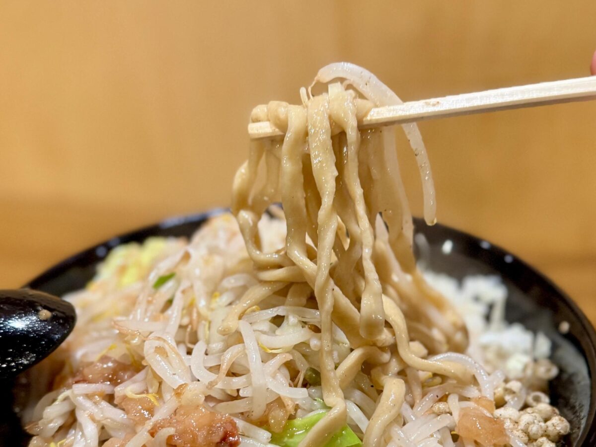 ラーメンジャンクス中央店 |人気のG系ラーメン店が市役所前に！煮干しの二郎系が美味しい 写真7