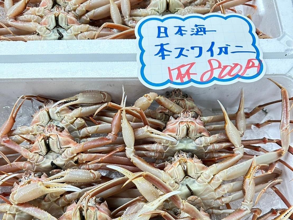 image_3.jpg